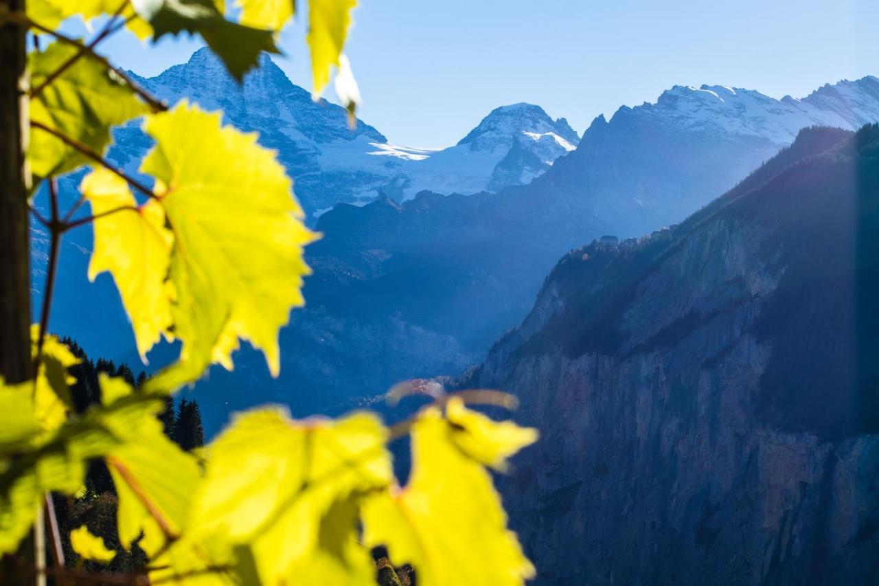 Chalet Aargovia Wengen Exterior foto